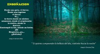 /album/fotogaleria-fotogaleria/a1551713-684432228245189-559375862-n-jpg/