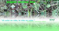 /album/fotogaleria/a30345-487433307945083-72390700-n-jpg/