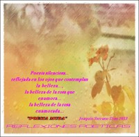 /album/fotogaleria/a1478971-676252335729845-500105599-n-jpg/